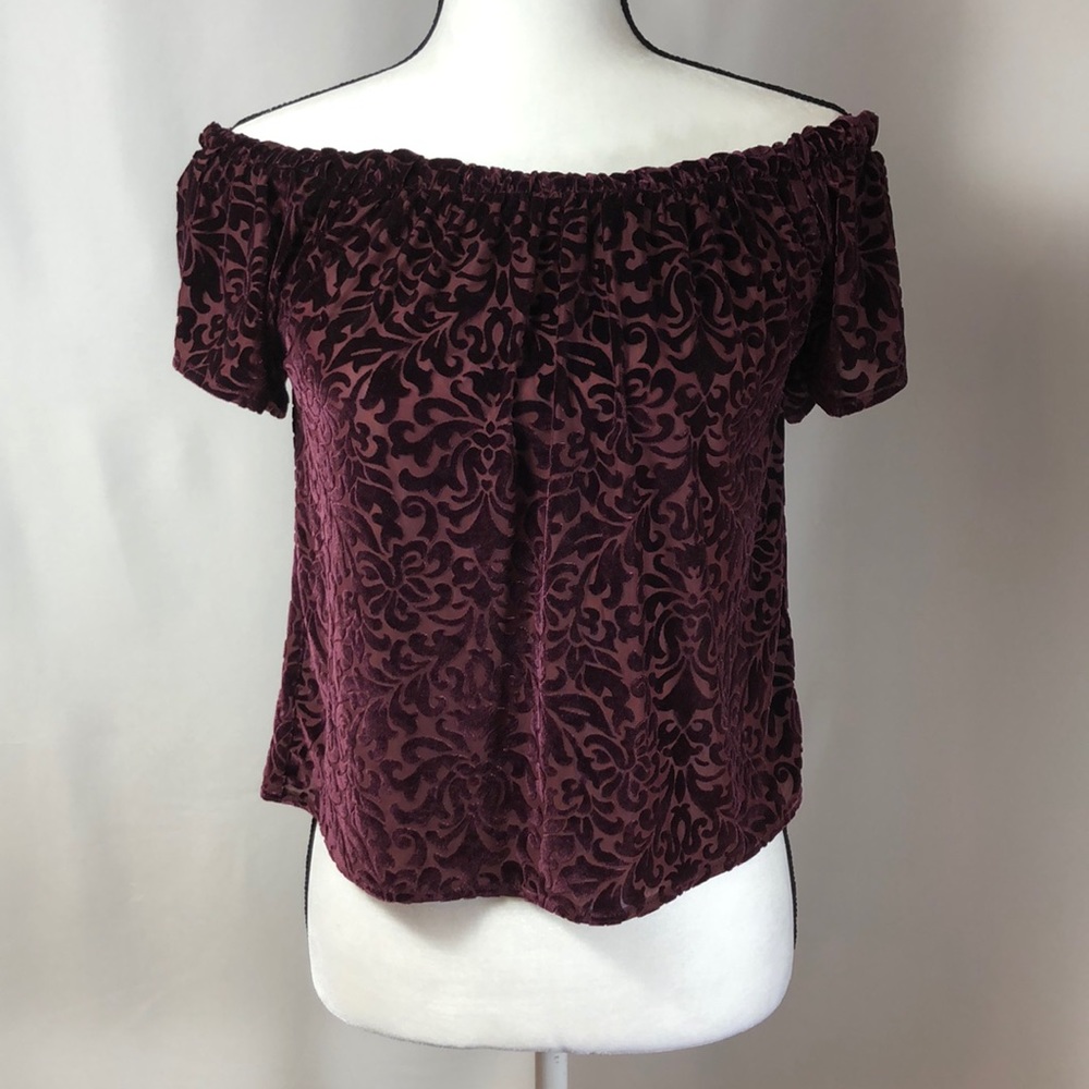 Hollister floral sheer velvet off shoulder top XS